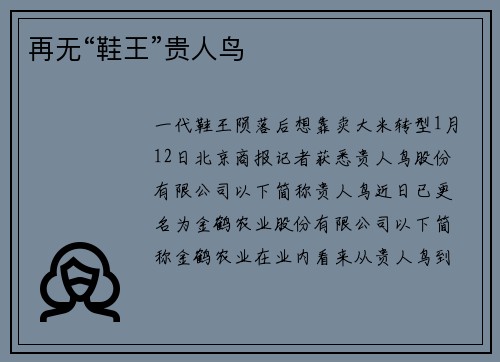 再无“鞋王”贵人鸟