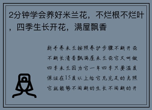 2分钟学会养好米兰花，不烂根不烂叶，四季生长开花，满屋飘香
