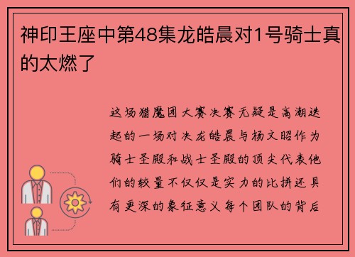 神印王座中第48集龙皓晨对1号骑士真的太燃了
