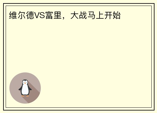 维尔德VS富里，大战马上开始